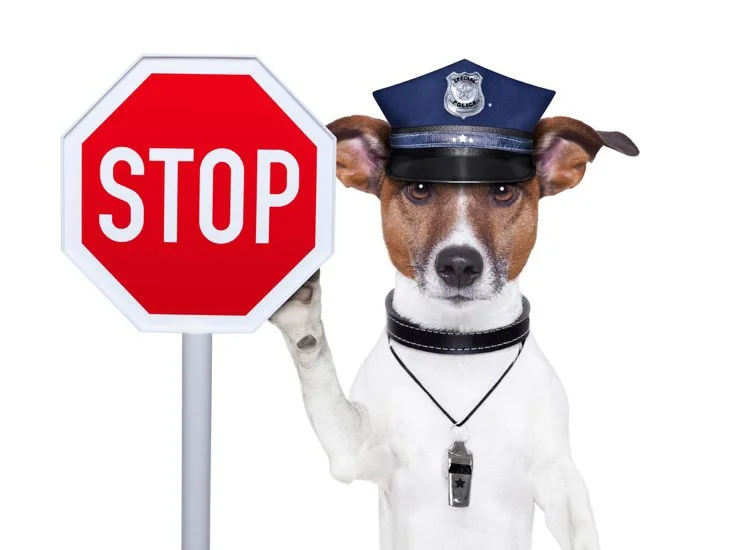 The Work Test Abolishment